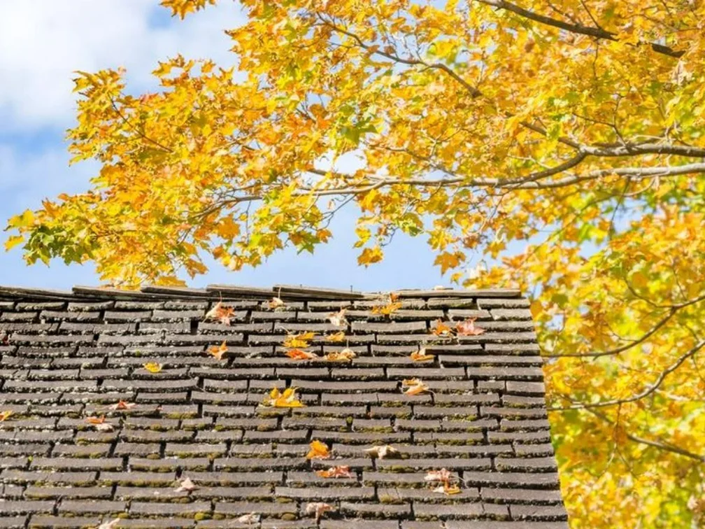 Detailed roof inspection and debris assessment in Pasadena CA